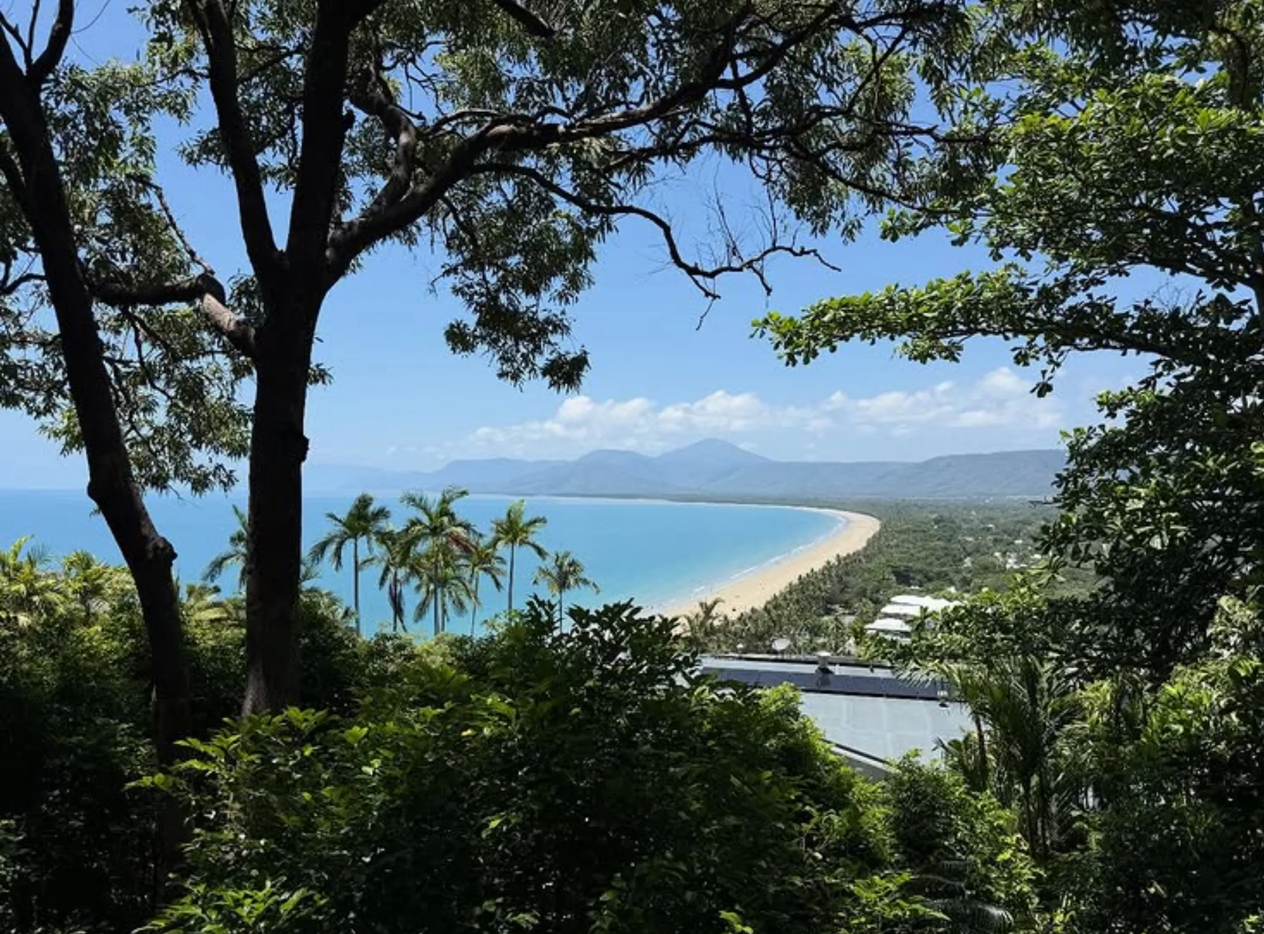 Daintree rainforest wellness